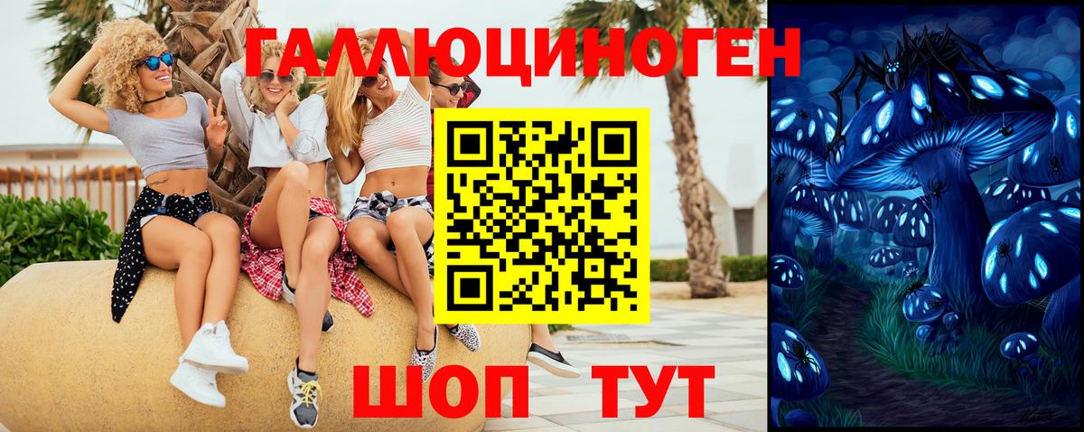 Дербент  Псилоцибиновые грибы прущие грибы  Вход с VPN  Галлюциногенные грибы Psilocybe 
